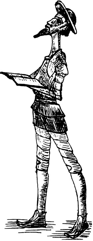 Don Quixote